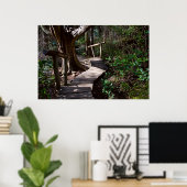 Poster Forêt Rainforest Boardwalk with Steps Imprimer (Bureau à domicile)