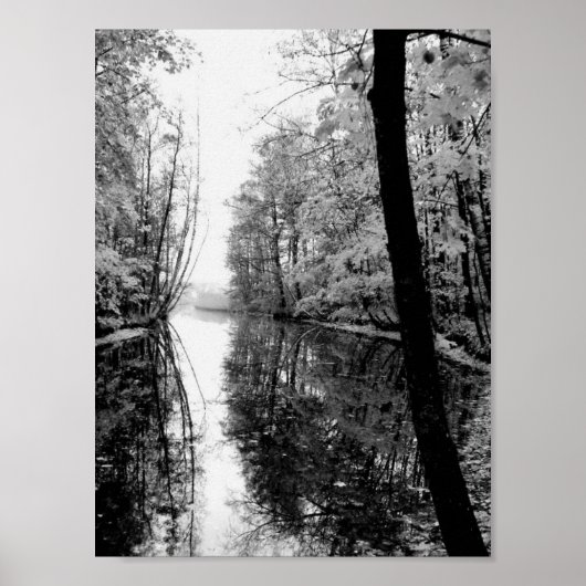 Poster Forêt Rivière Noir et Blanc (Devant)