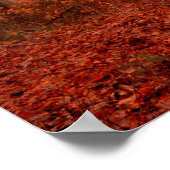 Poster Forêt sauvage rouge brumeux hiver sans neige (Coin)