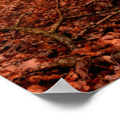 Poster Forêt sauvage rouge brumeux hiver sans neige (Coin)