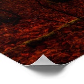 Poster Forêt sauvage rouge brumeux hiver sans neige (Coin)