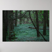 Poster Forêt silencieuse (Devant)