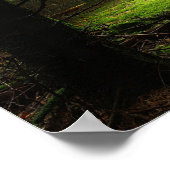 Poster Forêt stérile (Coin)