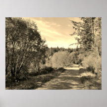 Forêt sur le sentier de randonnée Jour merveilleux