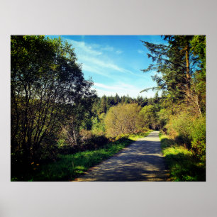 Poster Forêt sur le sentier de randonnée Jour merveilleux