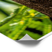 Poster Forêt | Trois Chouettes (Coin)