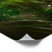 Poster Forêt | Tropical Rainforest Tulum Mexique (Coin)