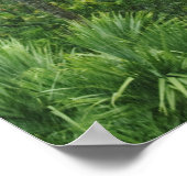 Poster Forêt tropicale (Coin)