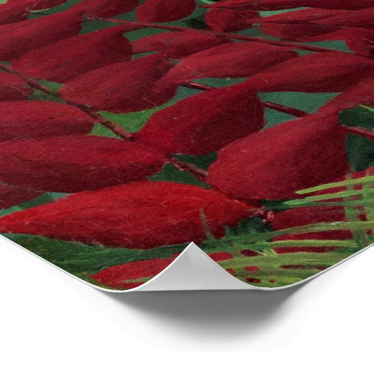 Poster Forêt tropicale avec singes par Henri Rousseau. (Coin)