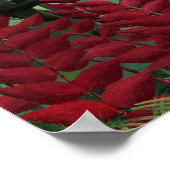 Poster Forêt tropicale avec singes par Henri Rousseau. (Coin)