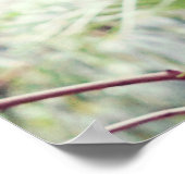 Poster Forêt tropicale de Fern (Coin)