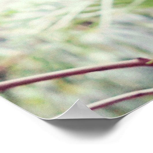 Poster Forêt tropicale de Fern (Coin)