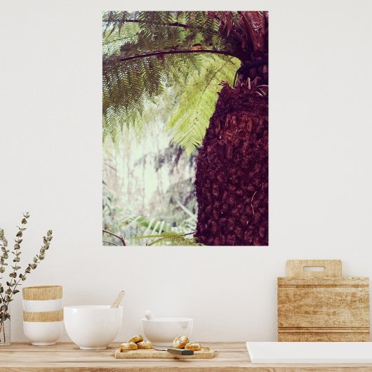 Poster Forêt tropicale de Fern (Cuisine)