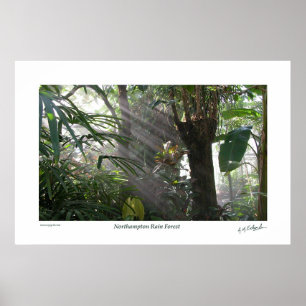Poster Forêt tropicale de Northampton III