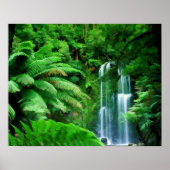 Poster Forêt tropicale et cascades (Devant)