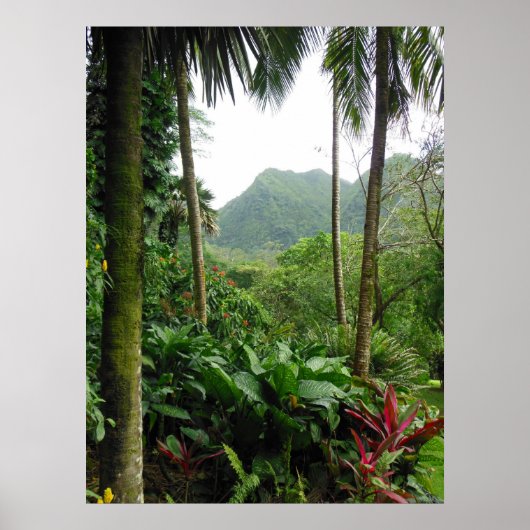 Poster Forêt tropicale hawaïenne (Devant)