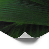 Poster Forêt tropicale hawaïenne (Coin)