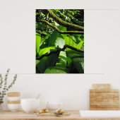 Poster Forêt tropicale hawaïenne (Cuisine)