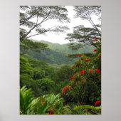 Poster Forêt tropicale hawaïenne (Devant)
