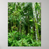 Poster Forêt tropicale hawaïenne (Devant)