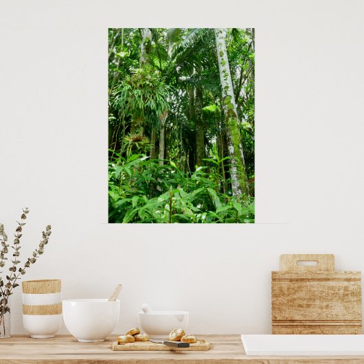 Poster Forêt tropicale hawaïenne (Cuisine)