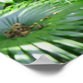 Poster Forêt tropicale hawaïenne (Coin)