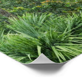 Poster Forêt tropicale humide 2 (Coin)