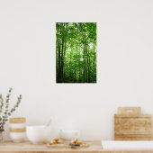 POSTER FORÊT VERMONT (Cuisine)