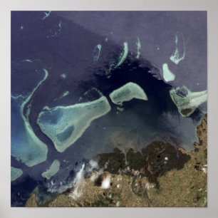 Poster Forêt vert-foncé sur la terre