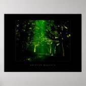Poster Forêt verte (Devant)