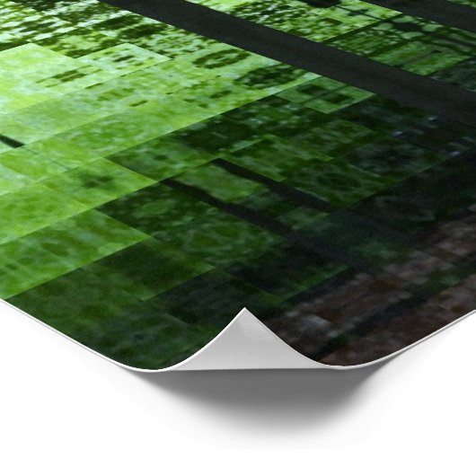 Poster Forêt verte (Coin)