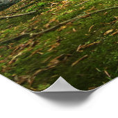 Poster Forêt verte et rivière (Coin)