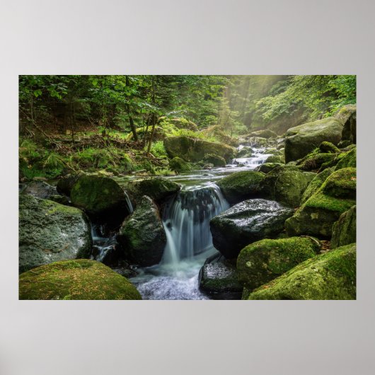 Poster Forêt verte et rivière (Devant)