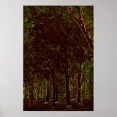 Poster Forêt verte foncée (Devant)