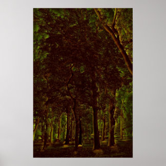 Poster Forêt verte foncée