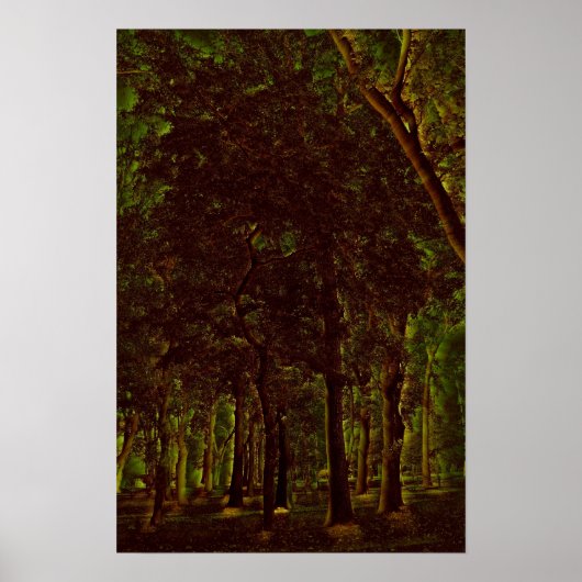 Poster Forêt verte foncée (Devant)