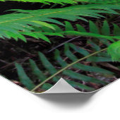 Poster Forêt verte Pittoresque (Coin)