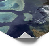 Poster Forêt verte profonde sur terre (Coin)