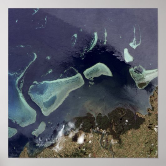 Poster Forêt verte profonde sur terre (Devant)