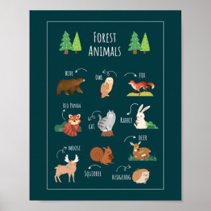 Poster Forêts Animaux Formation scolaire