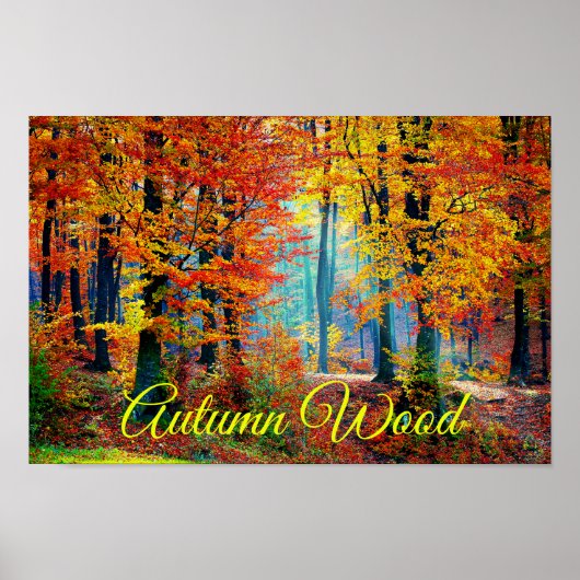 Poster Forêts d'automne aux couleurs vives (Devant)