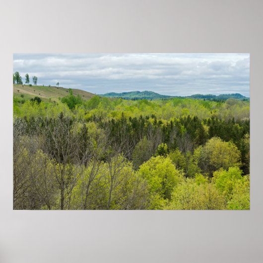 Poster Forêts et collines de Black River Falls Wisconsin (Devant)