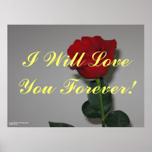 poster "Forever Love"
