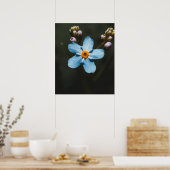 Poster Forget Me Not (Cuisine)