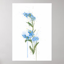 Forget Me Not