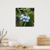 Poster Forget Me Nots 2 (Cuisine)