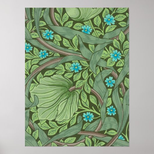 Poster Forget-Me-Nots, Wallpaper de William Morris (Devant)