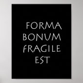 Poster Forma bonum fragile (Devant)