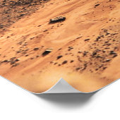 Poster formation Brown de sable (Coin)