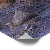 POSTER FORMATION DE ROCHE BROWN (Coin)